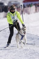 Lenk 2013